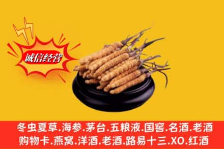 临汾市古县求购回收虫草多少钱每克